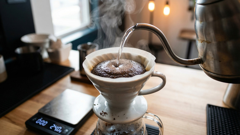 Barista pouring water over coffee beans in a pour-over machine