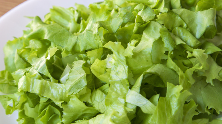 A beauty shot of a white bowl holding a bounty of shredded lettuce