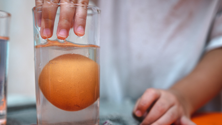person drops egg in water to test freshness