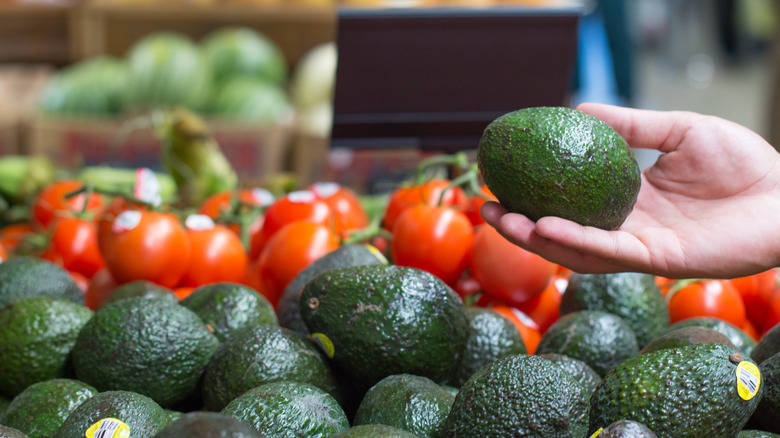 Hand holding an avocado in the grocery store over produce section