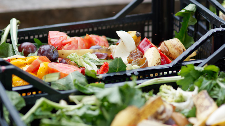 Expired produce in black plastic bins