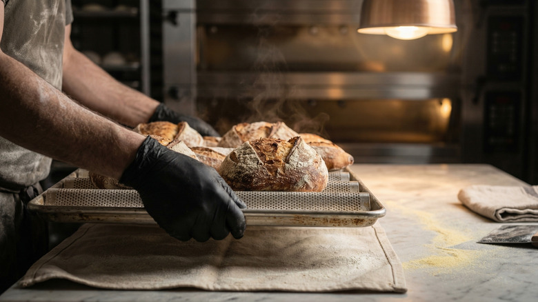 a baker's gloved hands placing a steaming tray of freshly baked bread onto a towel-covered table