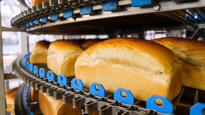 loaves of bread on a conveyor belt in a factory