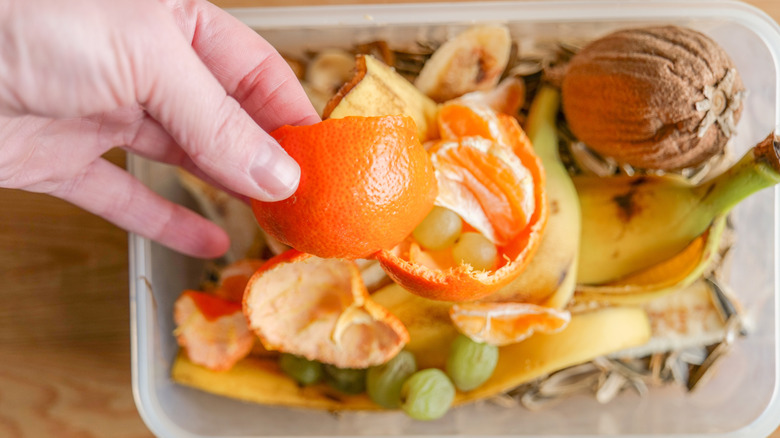 Foodie adding an orange peel to a home compost bin