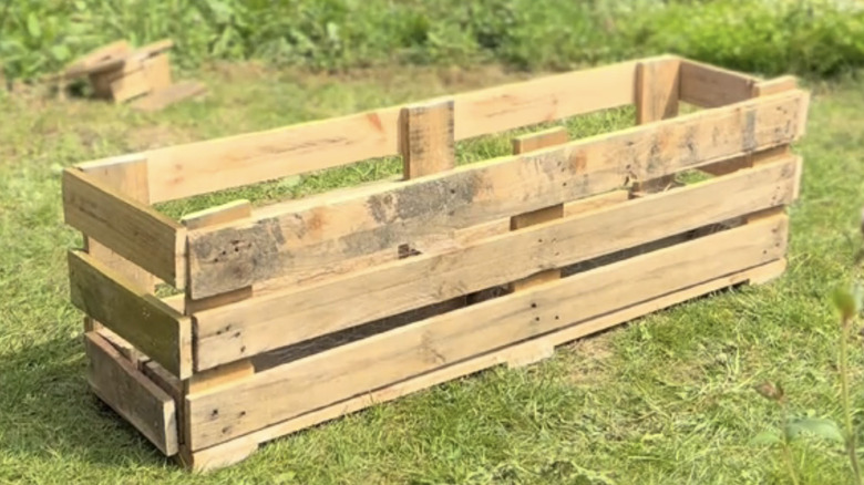 Strawberries growing in a pallet planter