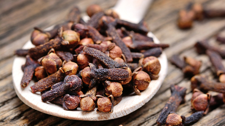 Close up of dried cloves on a spoon