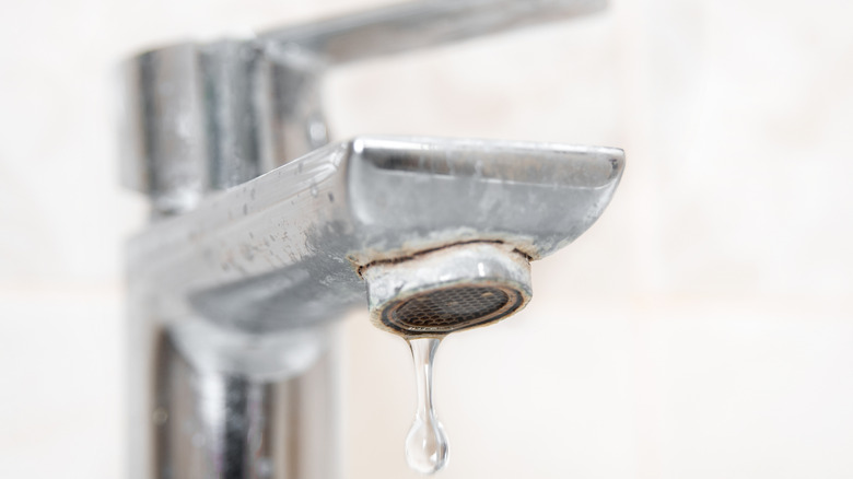 Water is dripping from a faucet with limescale.