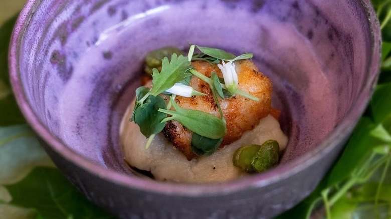 Fish dish with microgreens in a purple bowl at Archipelago