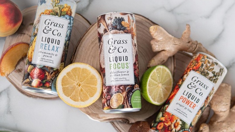 Three cans of Grass & Co laid on wooden pieces with fruits and ginger surrounding them