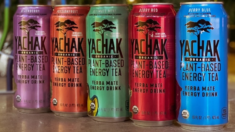 Four Yachak Yerba Mate canned drinks lined up