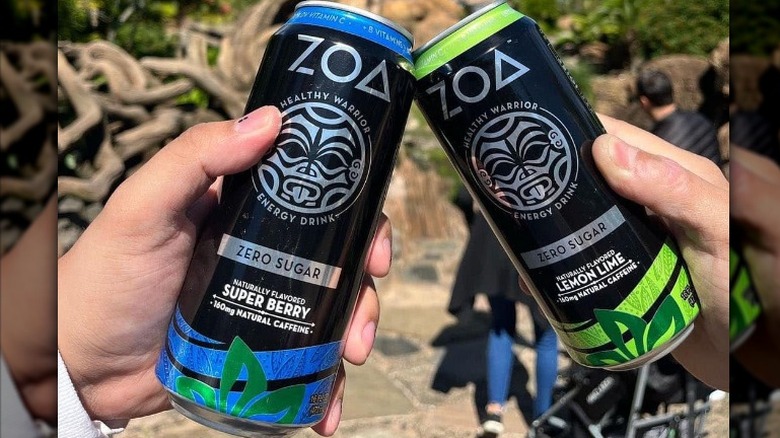 Hands holding two cans of ZOA Zero Sugar drinks in nature