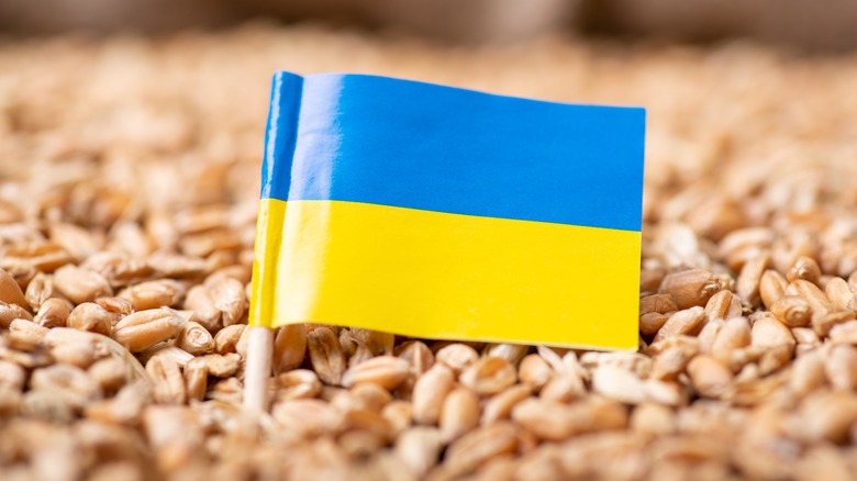 Ukrainian flag on grain