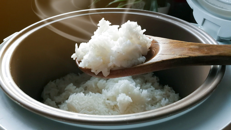 steaming fluffy rice in a rice cooker