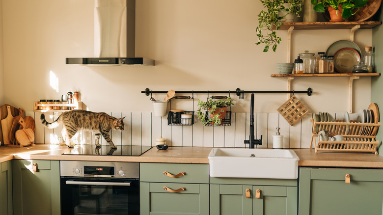 Beautiful kitchen interior with new stylish furniture