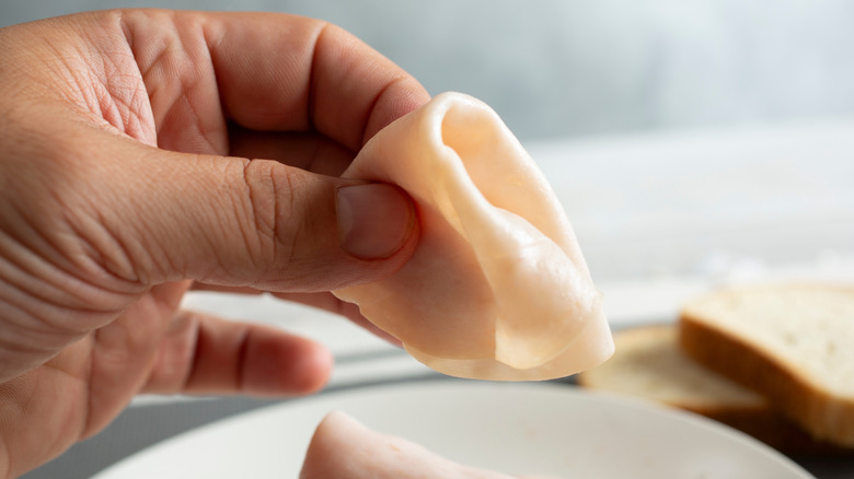 A hand holds a folded slice of deli turkey.