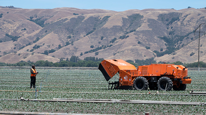 An industrial-scale broccoli field in California