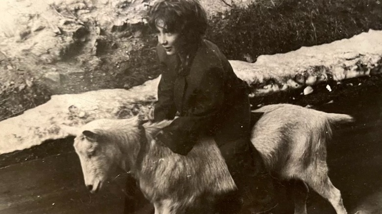 Young boy riding on a goat named Belle