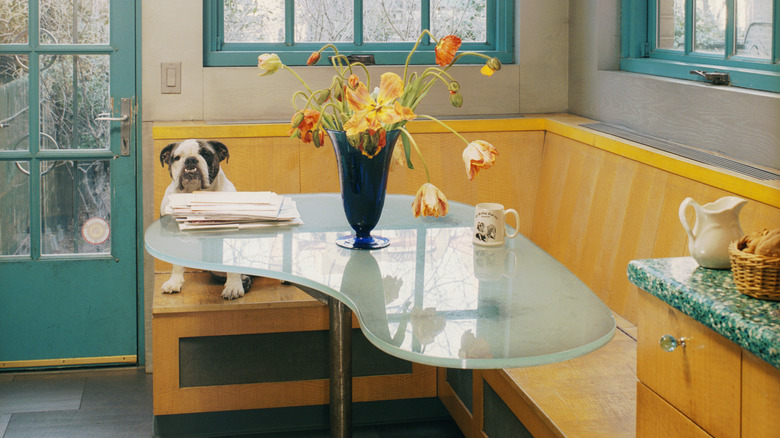 dog sitting in breakfast nook