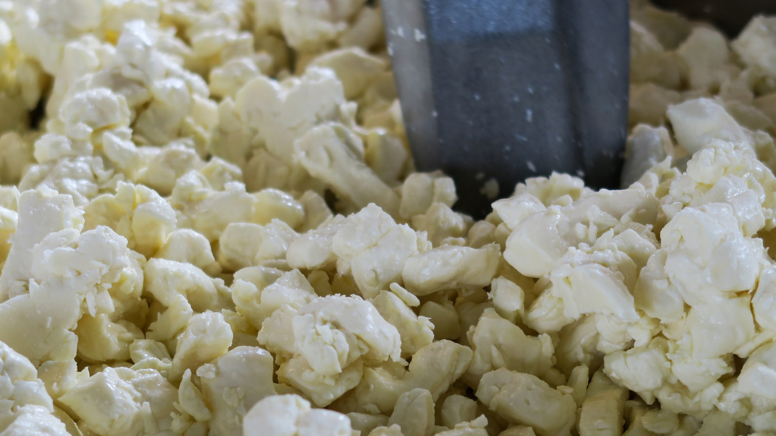 Here's Why Cheese Curds Squeak