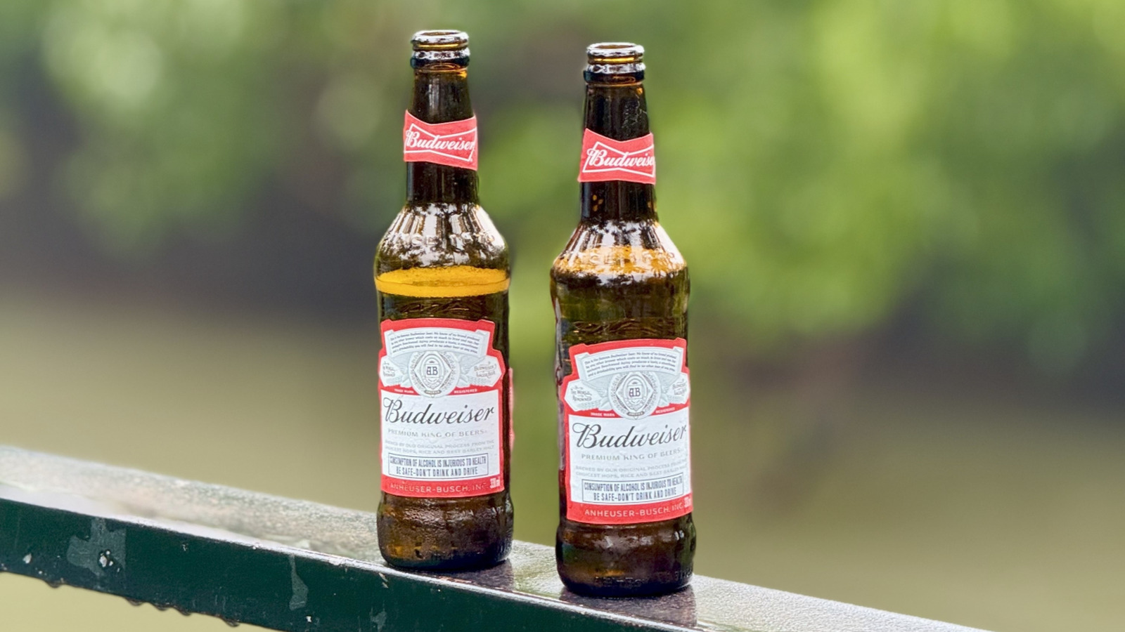 The Hidden Meanings Behind The Images On Budweiser's Label - Tasting Table