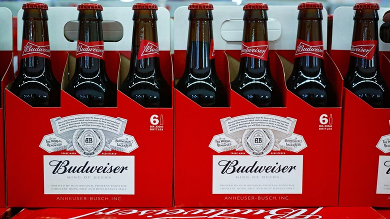 Budweiser beers packaged in cardboard carriers for 6 beers