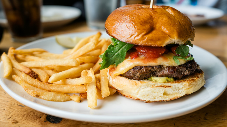 cheeseburger on a white plate with french fries