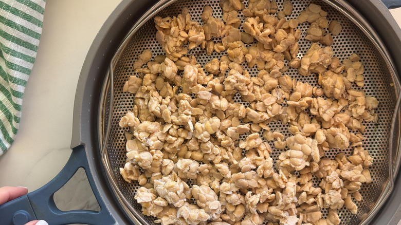 tempeh in steamer