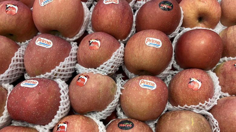 Fuji apples with stickers and in individual white nets.