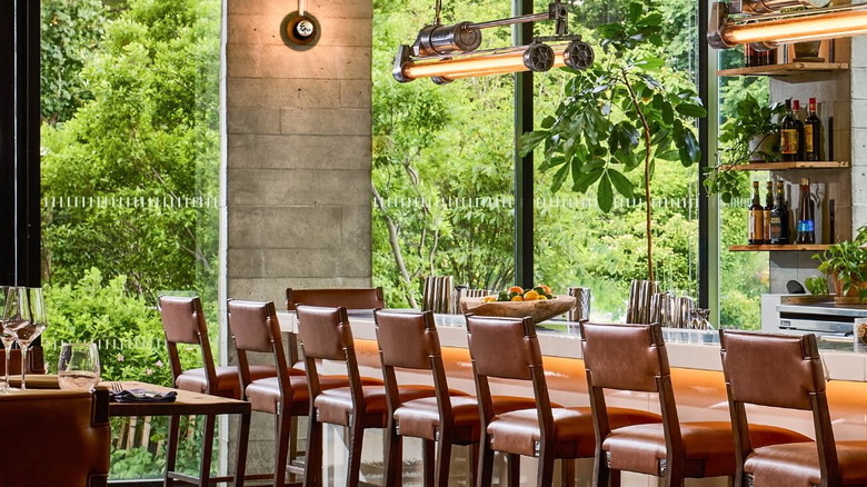 a bar next with leather high chairs next to a window with plants outside