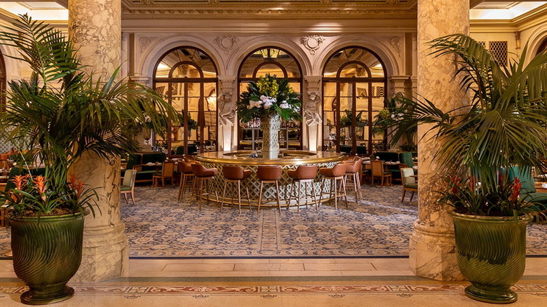palm trees in pots and marble columns leading into a bar