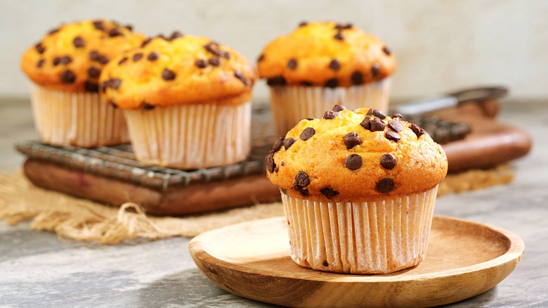 chocolate chip muffins