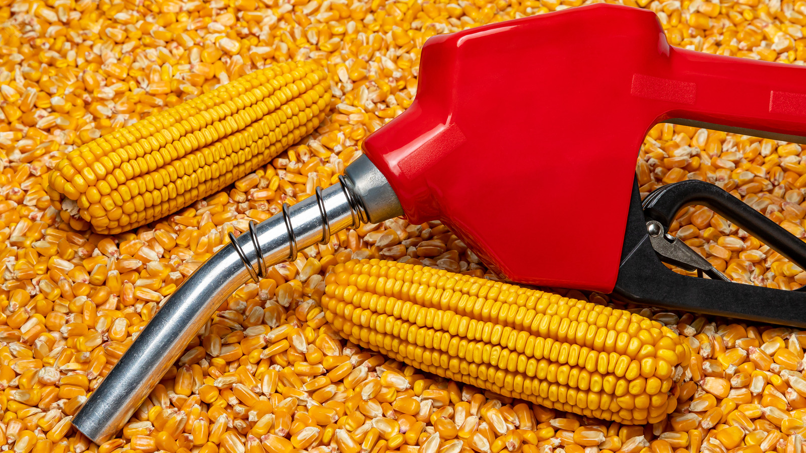 How Biofuel May Be Worsening The Food Crisis