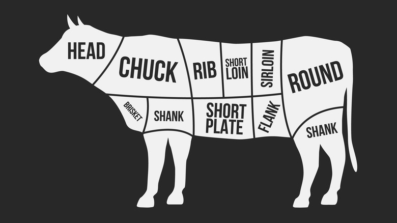 A diagram of a cow showing various cuts of beef. The rib cut is located between the chuck and short loin.