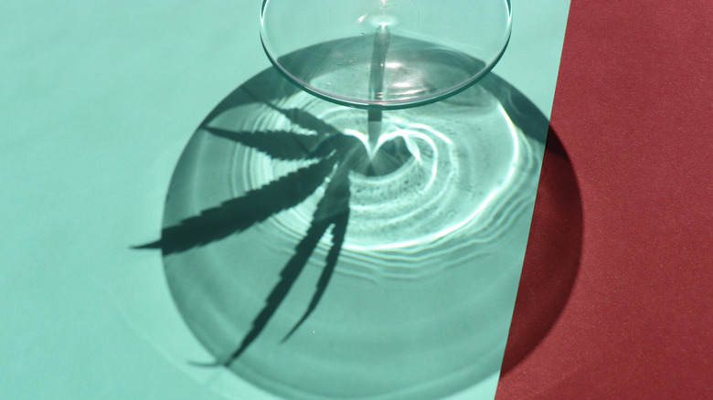 Cannabis leaf shadow and martini glass