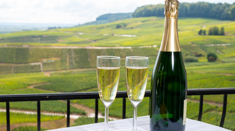 champagne in glasses and vineyard