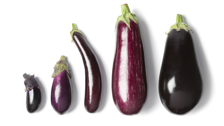 types of eggplants