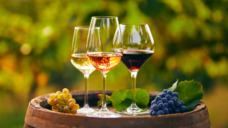 Wine in the vineyard