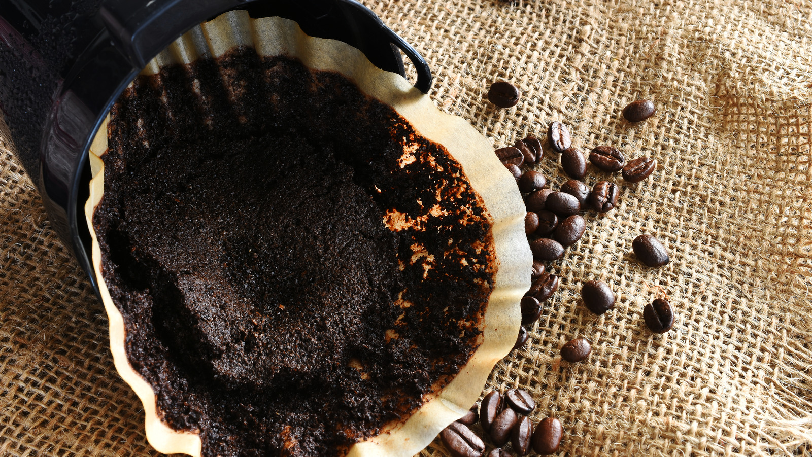 How Coffee Grounds Can Help Neutralize Fridge Odors