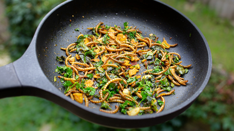 Mealworms in a work fried with herbs and spices. 