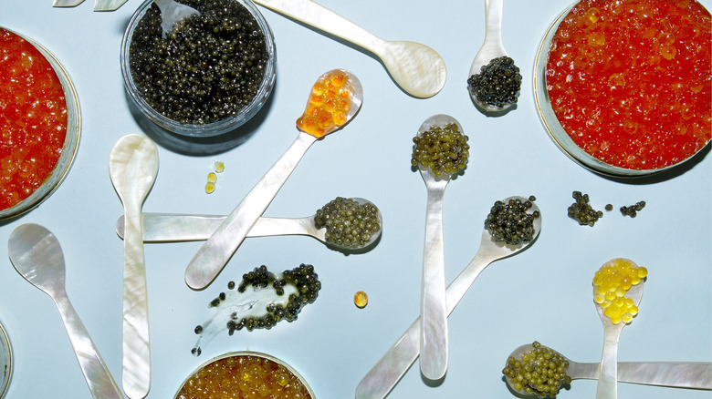 Different types of caviar 