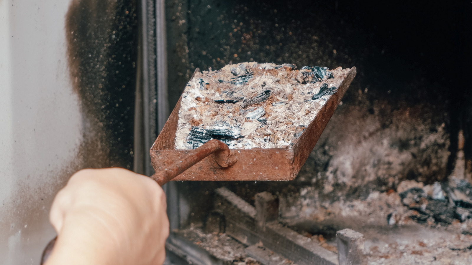 Fireplace Ashes Can Boost Your Vegetable Garden - If You Use Them The Right Way - Tasting Table