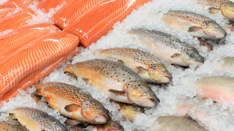 Fish on ice