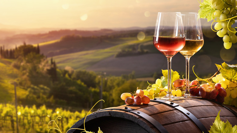 wine in Italian vineyard