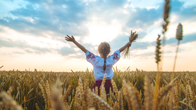 Child in Ukrainian wheat field 