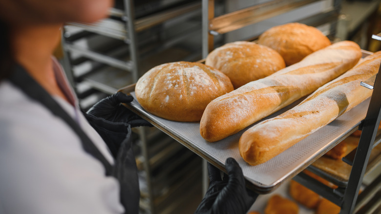 Loaves of bread at bakery