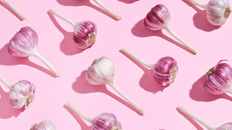Garlic against pink background