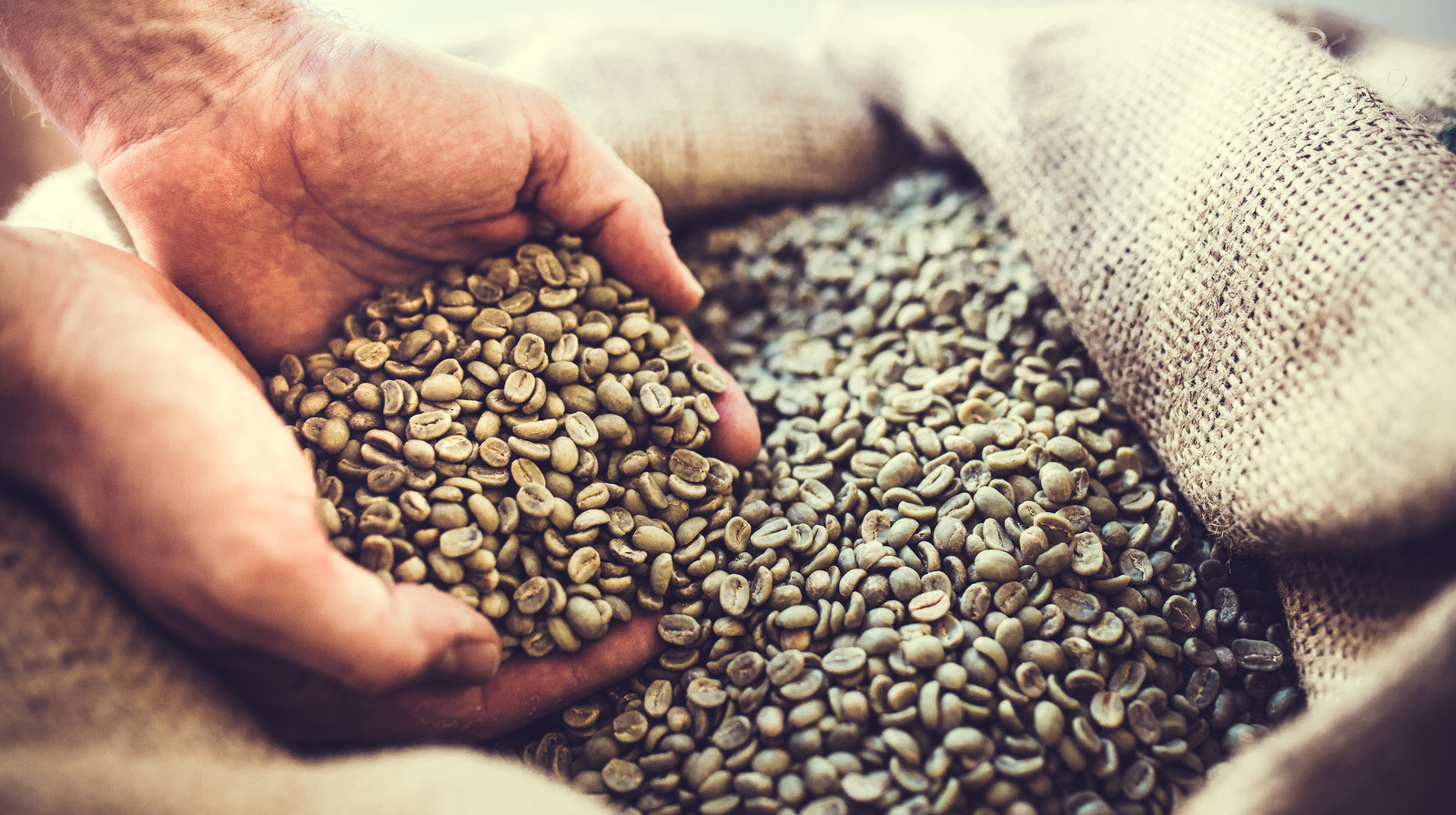 How Long Green Coffee Beans Will Stay Fresh In Proper Storage