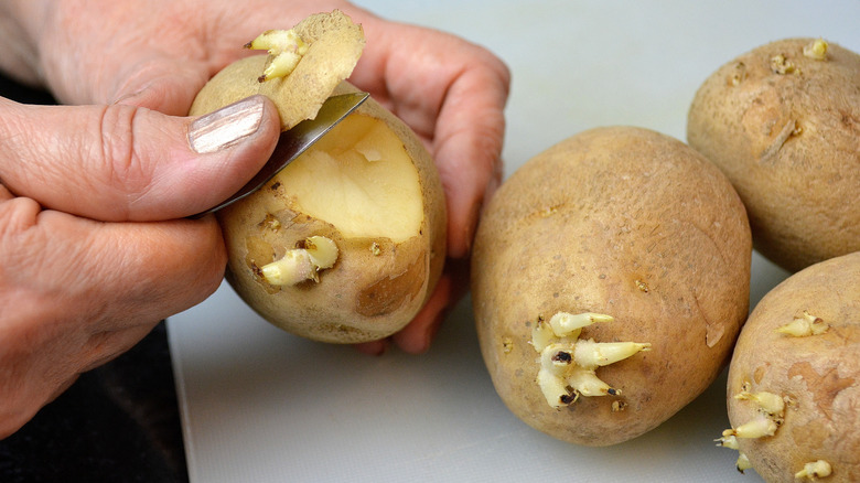 A close-up of a person using a vegetable peeler to remove eyes from potatoes