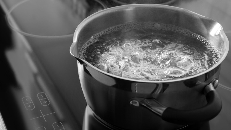 Pot of boiling water on a stovetop