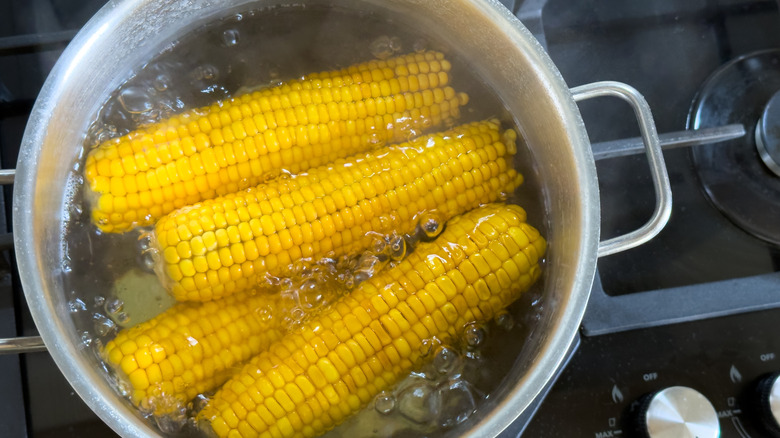 Fresh yellow corn cobs in a pot of water boiling on the stove